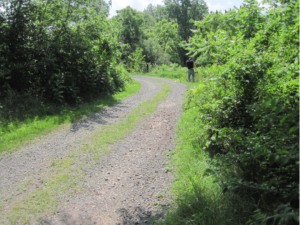 Sewer Plant Road, Lewis Township Municipal Authority, Union County